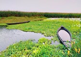 Assam land encroachment is real; former CEC-led panel found 8 lakh indigenous families are landless