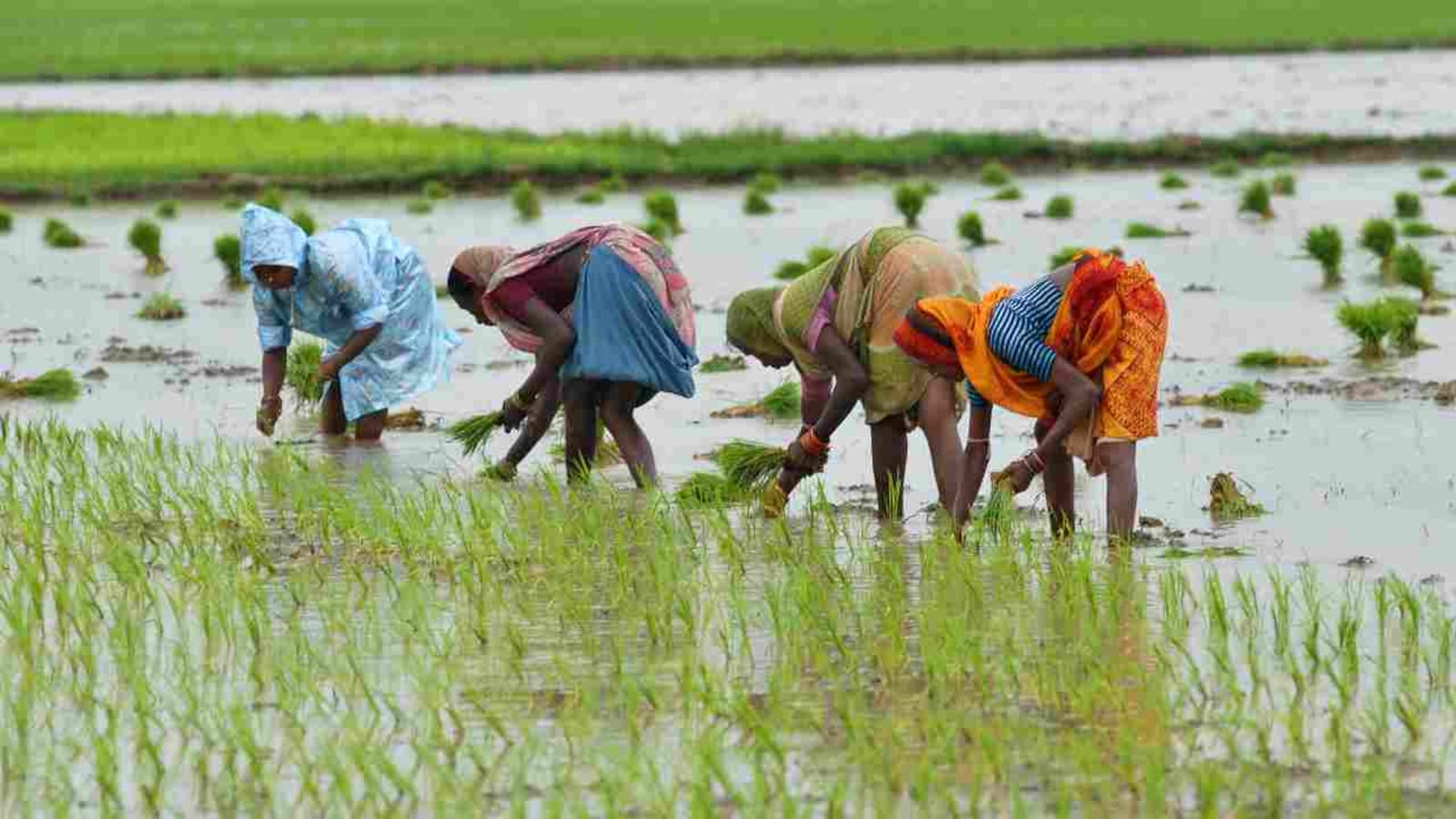 Madhya Pradesh govt announces interest waiver on select farm loans