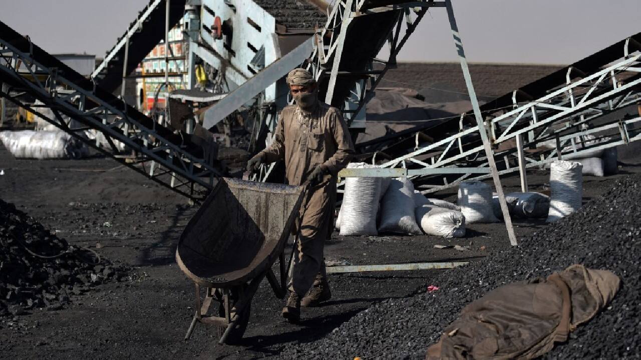 It is already well established under the nails of the younger staff, and is probably inside their bronchial tubes as well, though some are not yet 15 years old. They throw blocks of coal to each other, push wheelbarrows loaded with bags, make piles with shovels, and load customers' vehicles. (Image: AFP) It is already well established under the nails of the younger staff, and is probably inside their bronchial tubes as well, though some are not yet 15 years old. They throw blocks of coal to each other, push wheelbarrows loaded with bags, make piles with shovels, and load customers' vehicles. (Image: AFP)