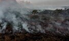 Damaged Amazon rainforest teetering on the brink