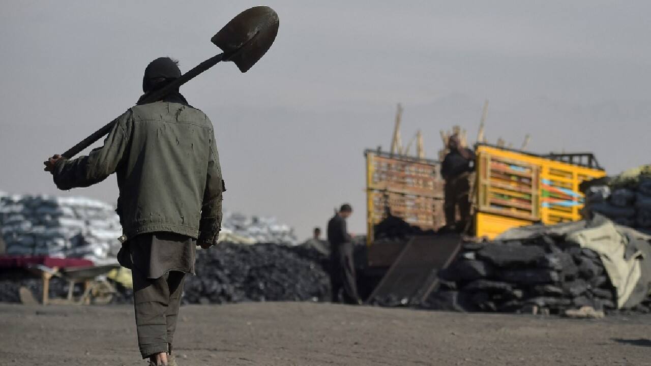 At a Kabul market, coal is arriving by the tonne as the winter cold sets in. Even as prices rise, Afghans have few options but to burn it for heat, creating some of the world's most dangerous air. (Image: AFP) At a Kabul market, coal is arriving by the tonne as the winter cold sets in. Even as prices rise, Afghans have few options but to burn it for heat, creating some of the world's most dangerous air. (Image: AFP)