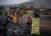 Coal India to post bumper net profit in Q3 with higher prices for e-auction sales