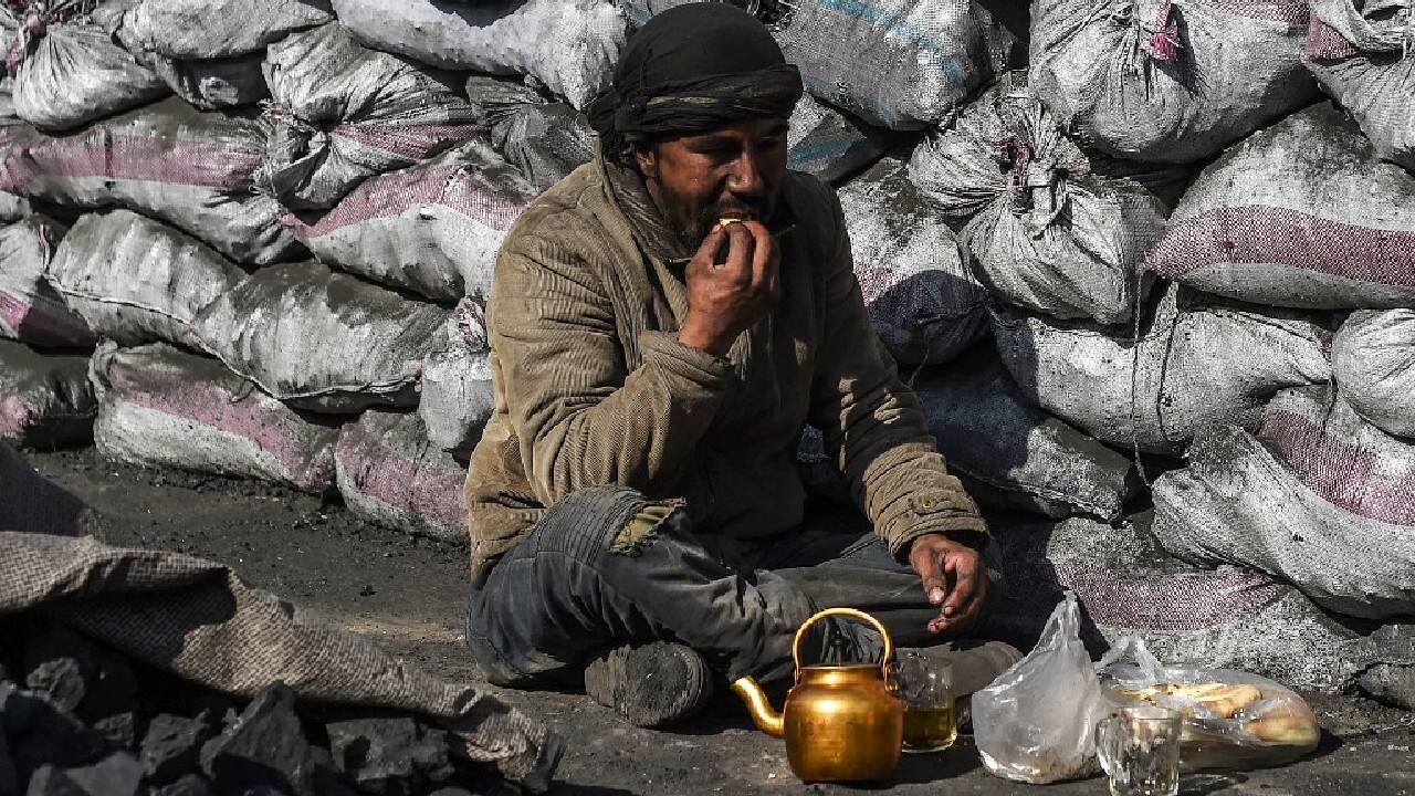 Plagued by decades of war, and still reeling from the consequences of the Taliban takeover in August, the environment is rarely a priority for Afghans. International aid has dried up and the economy has come to a standstill, while climate change-related drought is spreading hunger. (Image: AFP) Plagued by decades of war, and still reeling from the consequences of the Taliban takeover in August, the environment is rarely a priority for Afghans. International aid has dried up and the economy has come to a standstill, while climate change-related drought is spreading hunger. (Image: AFP)