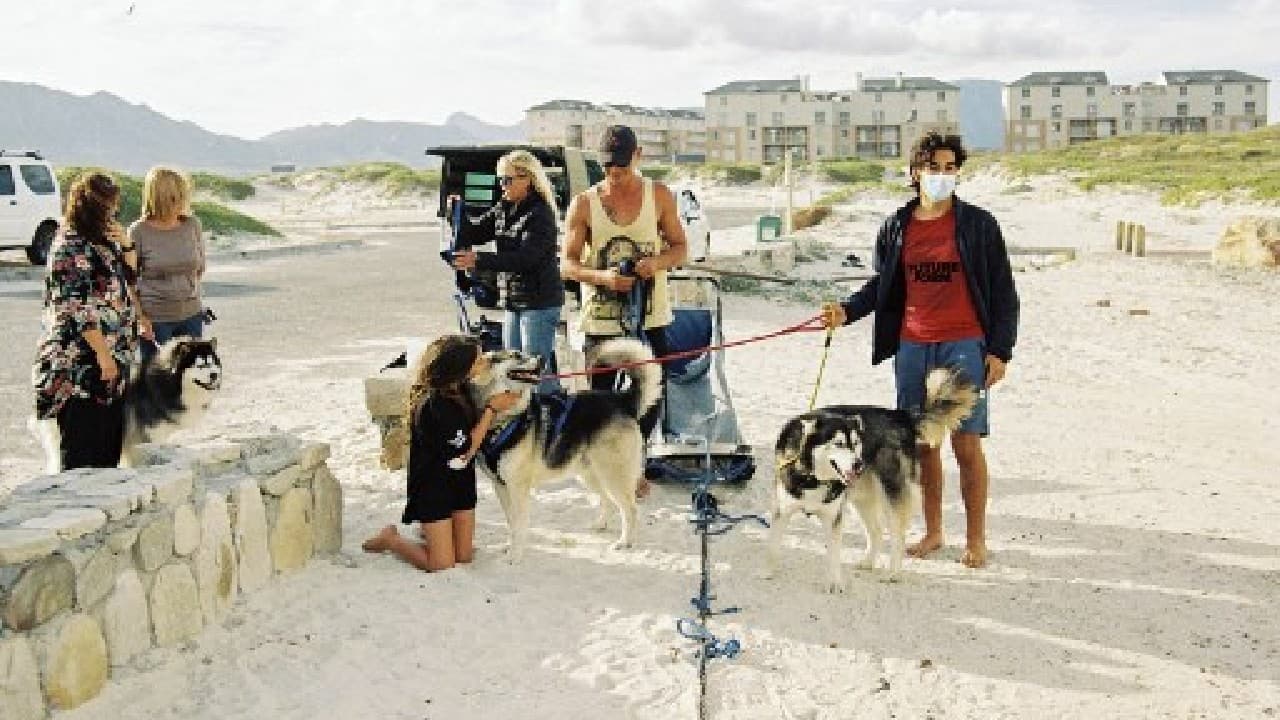 "It is the perfect exercise for huskies who were bred to pull sleds and they just love it," said Gunter from Strand, a small resort town located 40 kilometres (25 miles) up the beach. "They get so excited... and can't wait to get going. And after working hard all week it is my weekly therapy and is just wonderful to see," Gunter, a financial broker told AFP. (Image: AFP) , Santa Paws: South African canines sled on sandy beaches, The World Live Breaking News Coverage & Updates IN ENGLISH