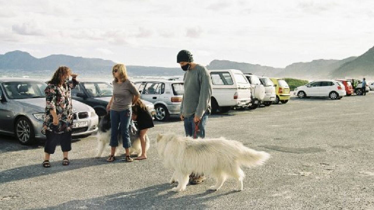 He built two sleds and started inviting husky owners to bring their hounds to Muizenberg beach outside of Cape Town each Saturday. (Image: AFP) , Santa Paws: South African canines sled on sandy beaches, The World Live Breaking News Coverage & Updates IN ENGLISH