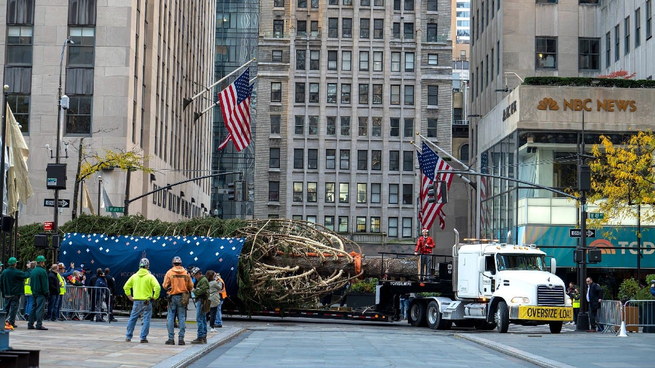 Home For The Holidays Rockefeller Tree Arrives In NYC   3 Rockefeller Centre Tree 