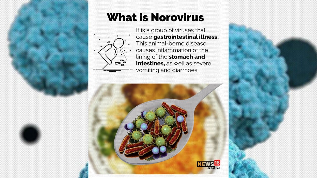 What Causes Norovirus Outbreak
