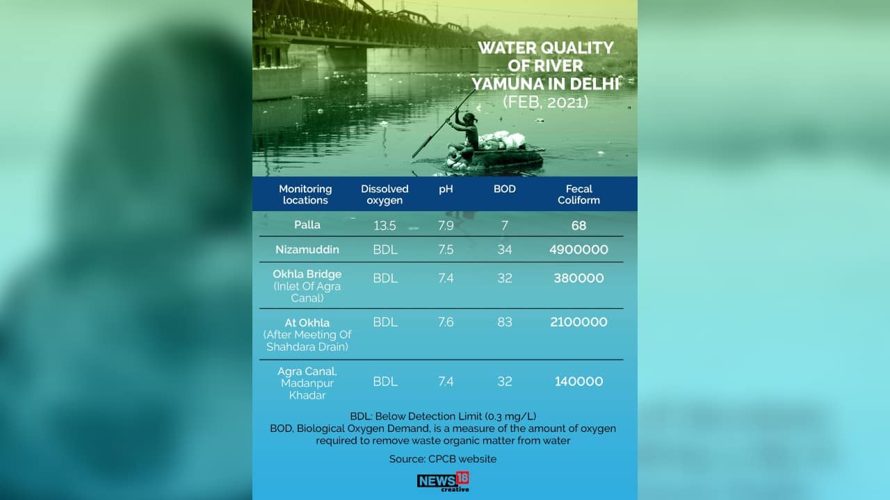 Water quality of river Yamuna in Delhi. (Image: News18 Creative)