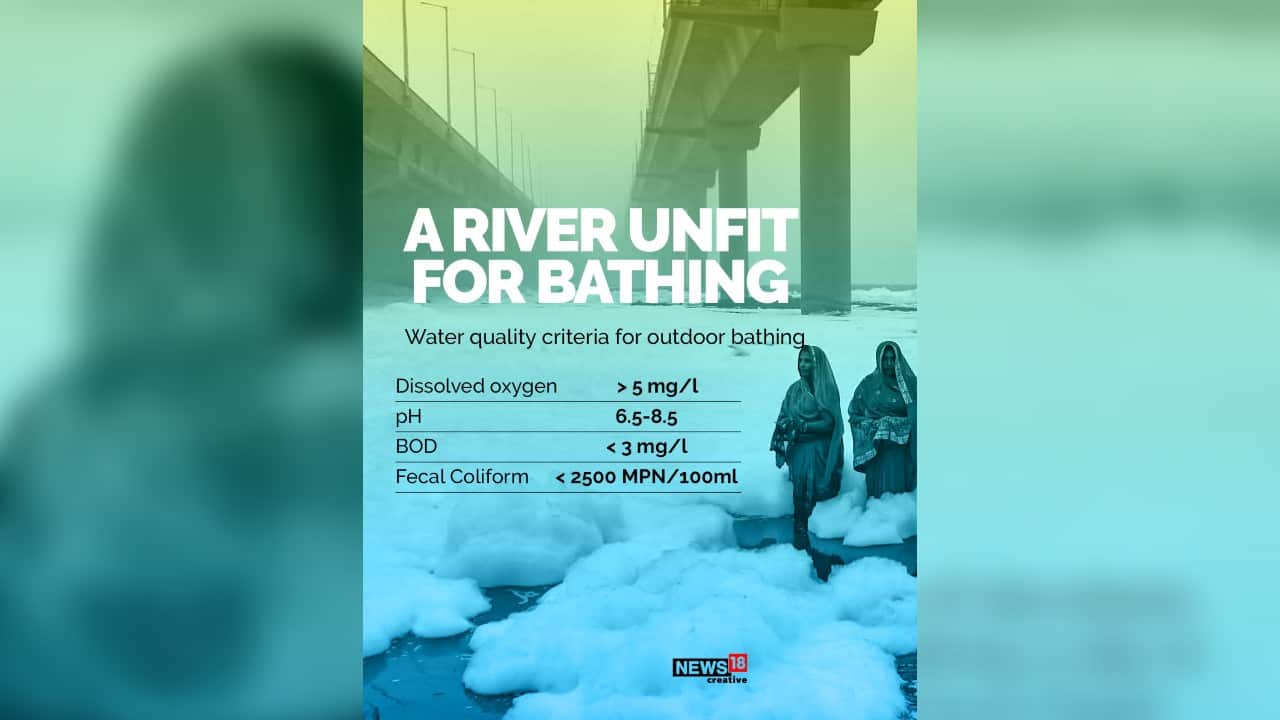 Water quality criteria for outdoor bathing. (Image: News18 Creative)