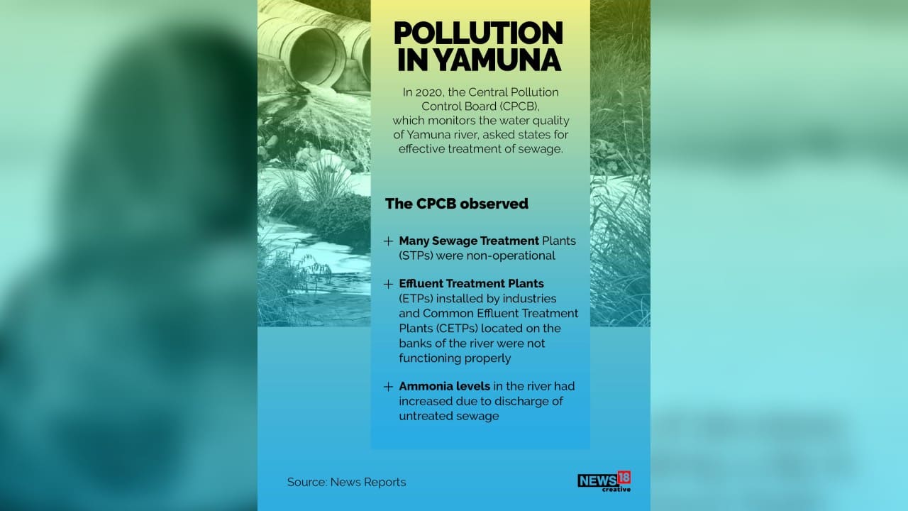 In 2020, the Central Pollution Control Board (CPCB), which monitors the water quality of Yamuna river, asked states for effective treatment of sewage. (Image: News18 Creative)