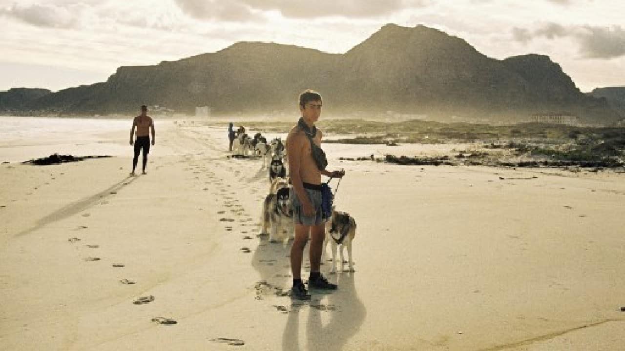 Eleven years down the line, there are now around 100 huskies that regularly sled on different weekends. (Image: AFP) , Santa Paws: South African canines sled on sandy beaches, The World Live Breaking News Coverage & Updates IN ENGLISH