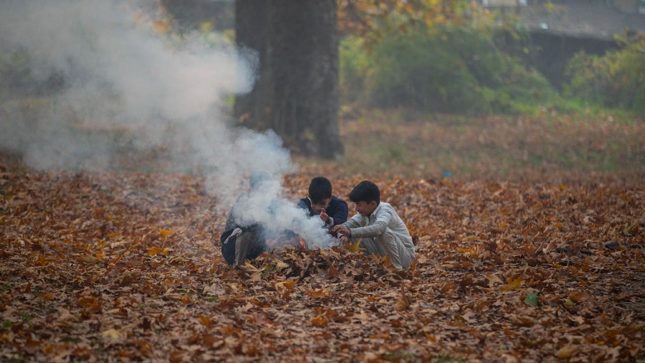 Kashmiri boys warm their hands over the burning China leaves on the outskirts of Srinagar, Indian controlled Kashmir, November 14. Kashmiris collect fallen leaves in autumn to make charcoal for use during winters. (Image: AP/Mukhtar Khan)