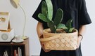 A ‘plant-based’ gift guide