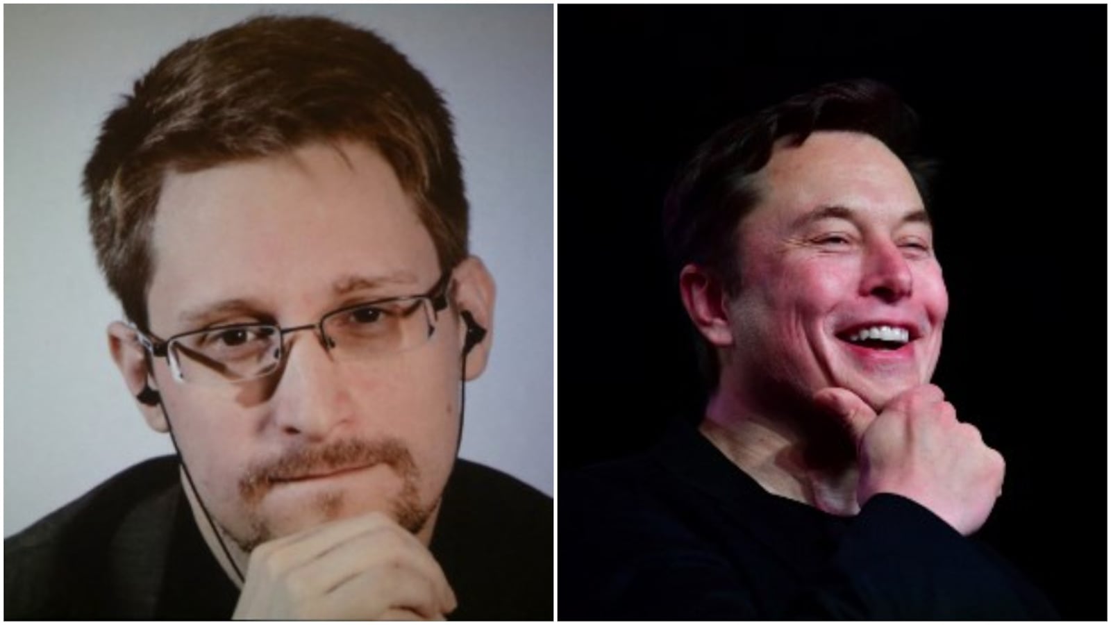 Elon Musk is ROFL as whistleblower Snowden calls Shiba Inu "clone of dog money"
