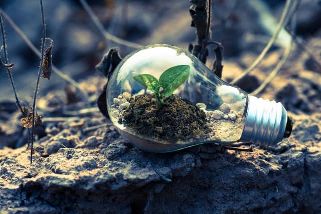 India’s transition to a green economy can create 50mn jobs, presents a $1-trillion opportunity: WEF