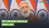 Farm laws repealed I PM Modi's surprise announcement ahead of upcoming elections in Punjab & UP