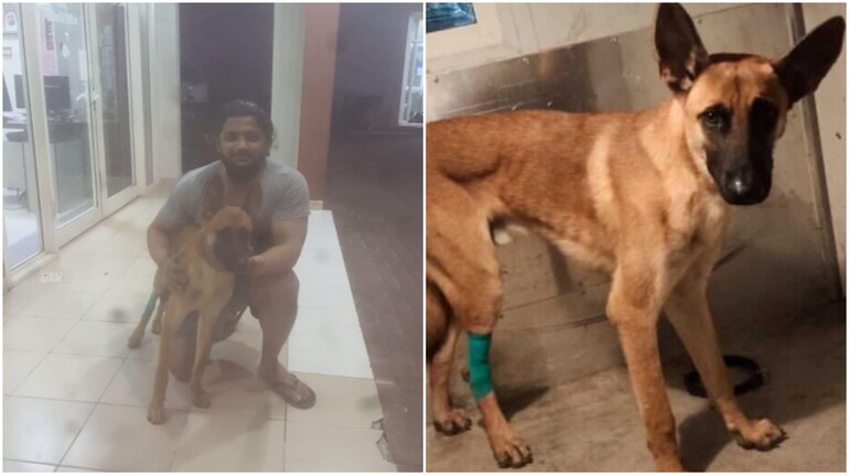 Parvez Alam with the stray dog he rescued from a busy road in Dubai. The pooch is currently under medical care. (Image credit: Photo shared by Lyve Global on Instagram)