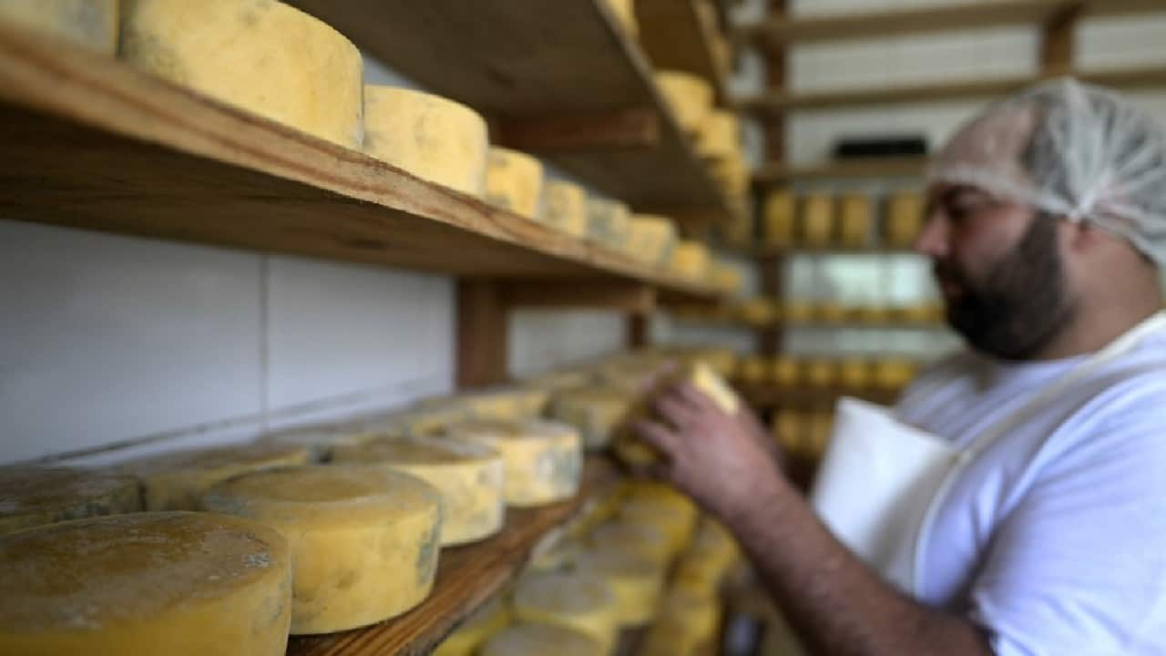 Brazil's Unsung Craft-cheese Wins Fans In High Places