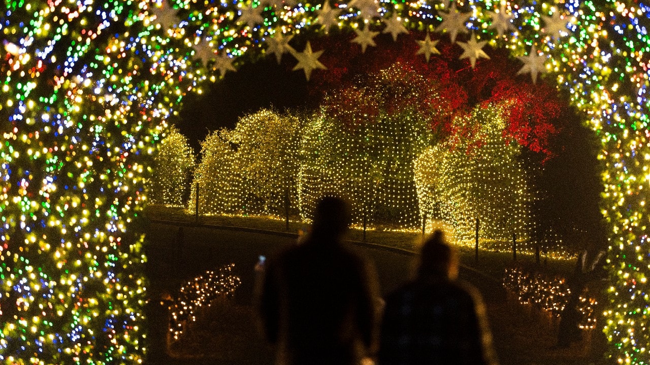 The wonder of a world illuminated for the holidays