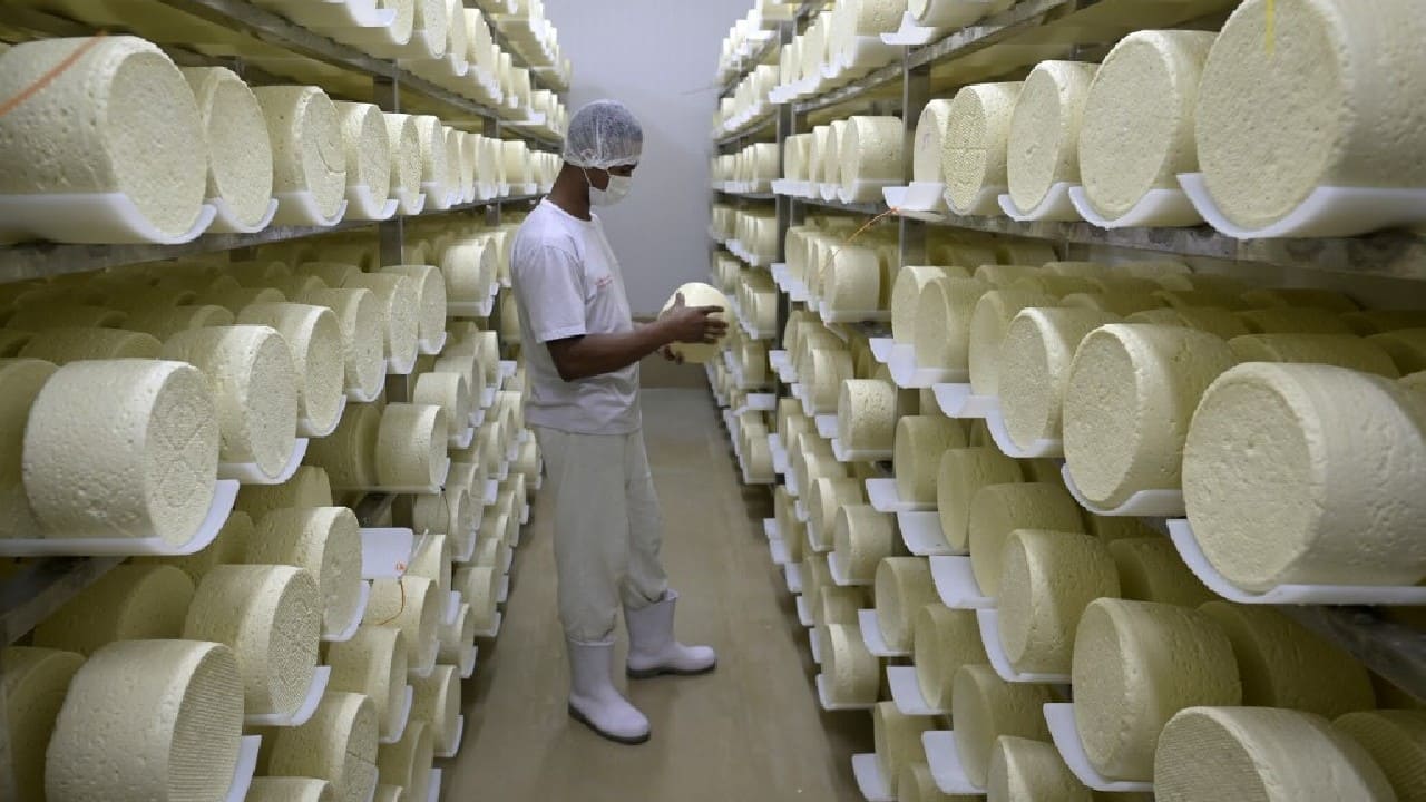 Brazil's Unsung Craft-cheese Wins Fans In High Places