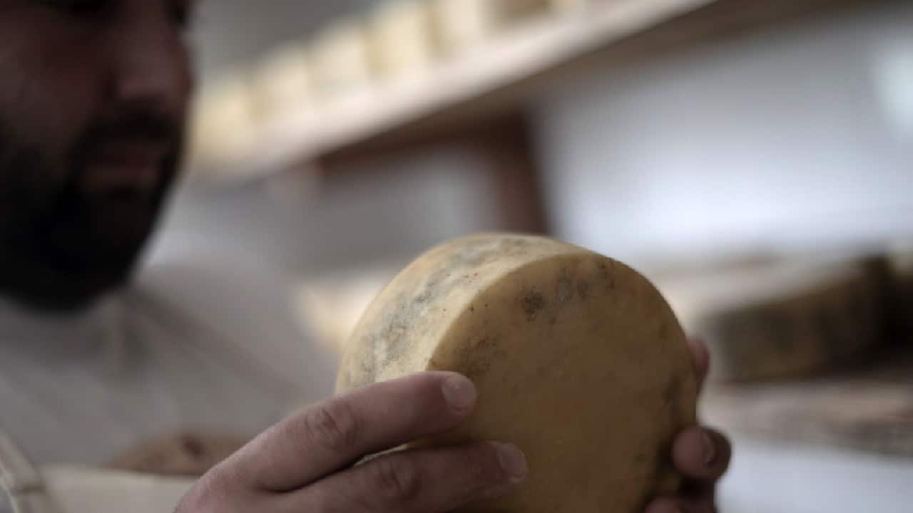 Brazil's unsung craft-cheese wins fans in high places