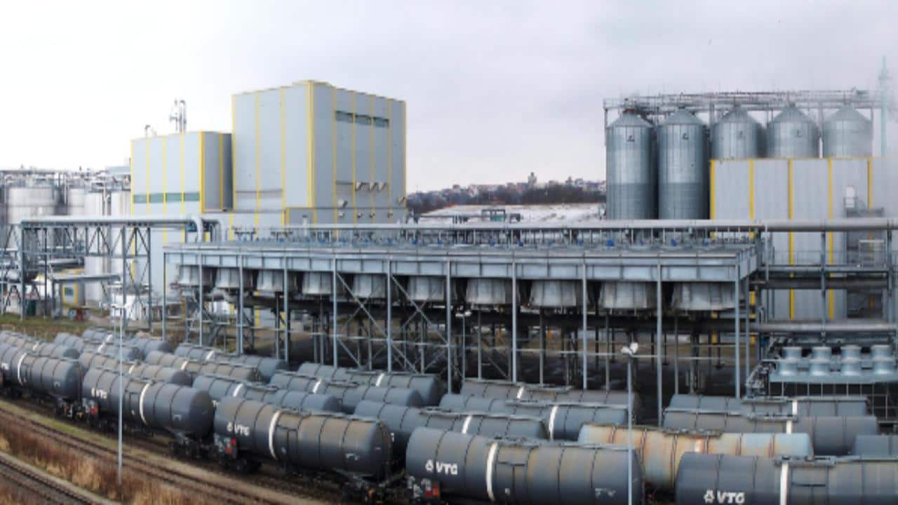 The big squeeze: Government curb renders sugar stocks tasteless