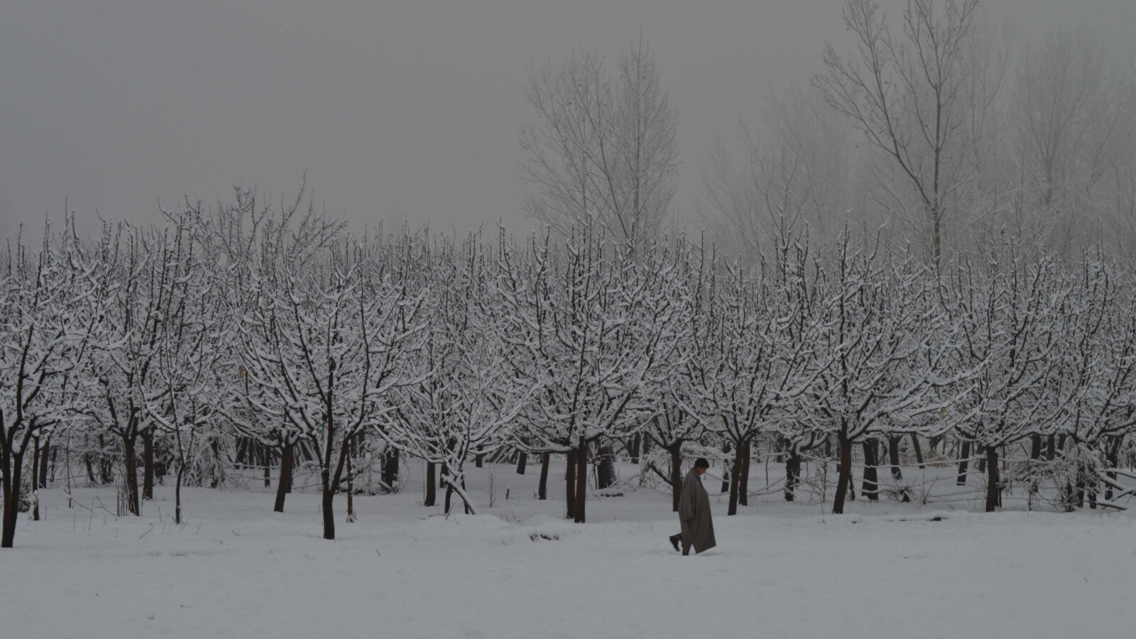 In Pics Chillai Kalan The 40 Harshest Days Of Winter In Kashmir Starts December 21