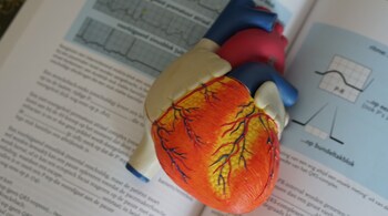 Data show that heart disease is one of the most common reasons for mortality among Indian men aged 35-54. Preventive measures, including testing such as calcium scans, can help to discover and keep problems in check.