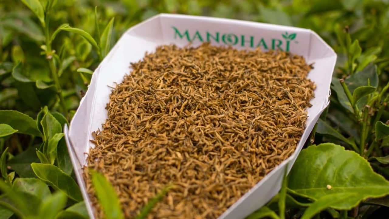 Rs 99,999 a kg: What makes Assam's Manohari Gold tea special