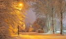 In pics | Snowfall in Himachal Pradesh, Uttarakhand, Jammu & Kashmir