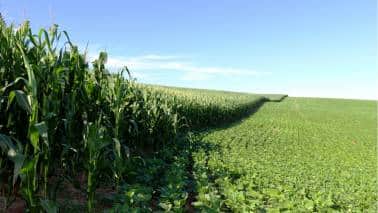 LatAm recovery to give fillip to UPL’s growth, profit margins key LatAm recovery to give fillip to UPL’s growth, profit margins key