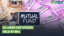 These large-cap stocks gained as much as 400%. Do you own any?