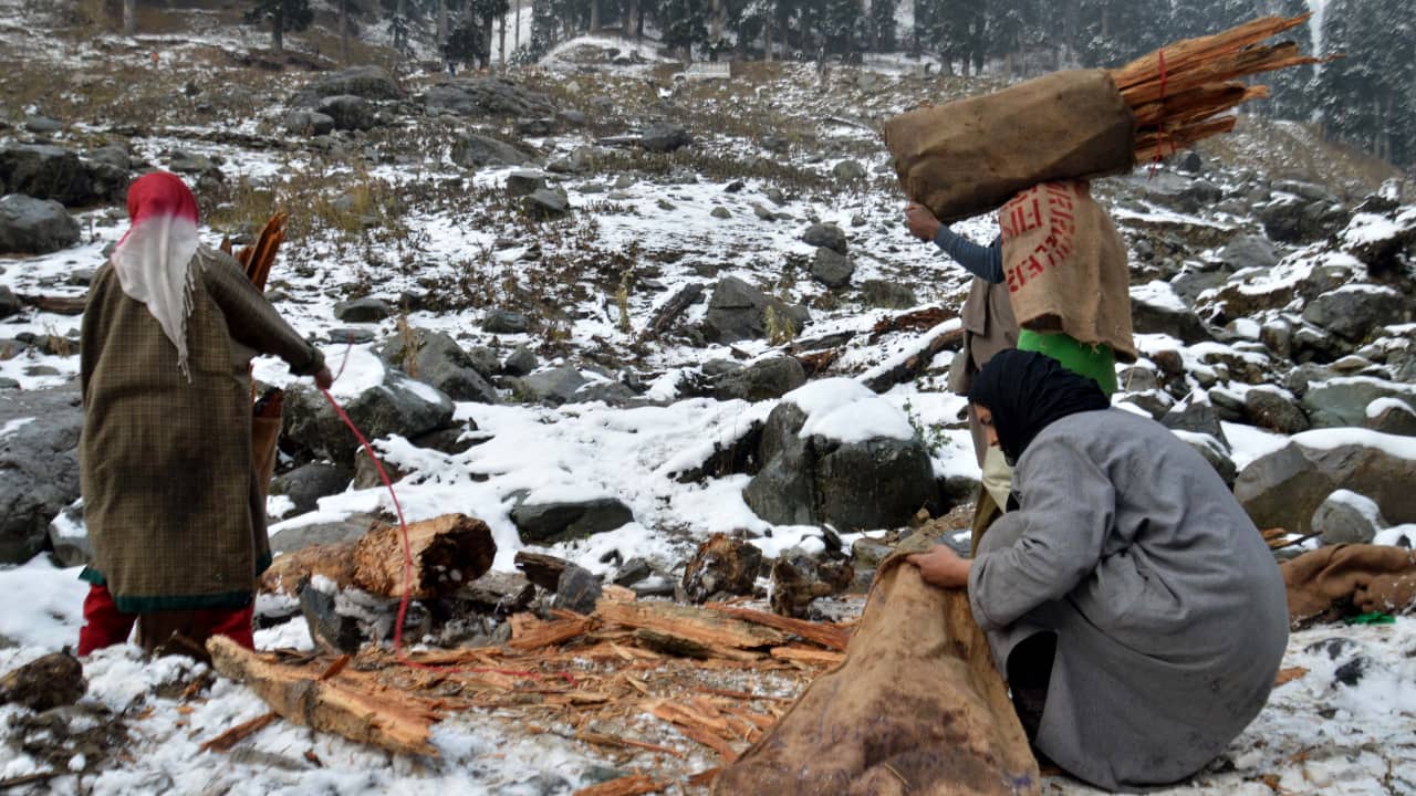 Before the harsh winter sets in, men and women in the hilly areas of Kashmir carry firewood to their houses. Large quantities of firewood are burnt in the hilly areas and rural areas of Kashmir for cooking, heating and other purposes. (Photo by Irfan Amin Malik)