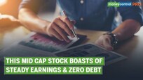 Ideas For Profit | Control Print: Why look at this quality mid-cap stock?