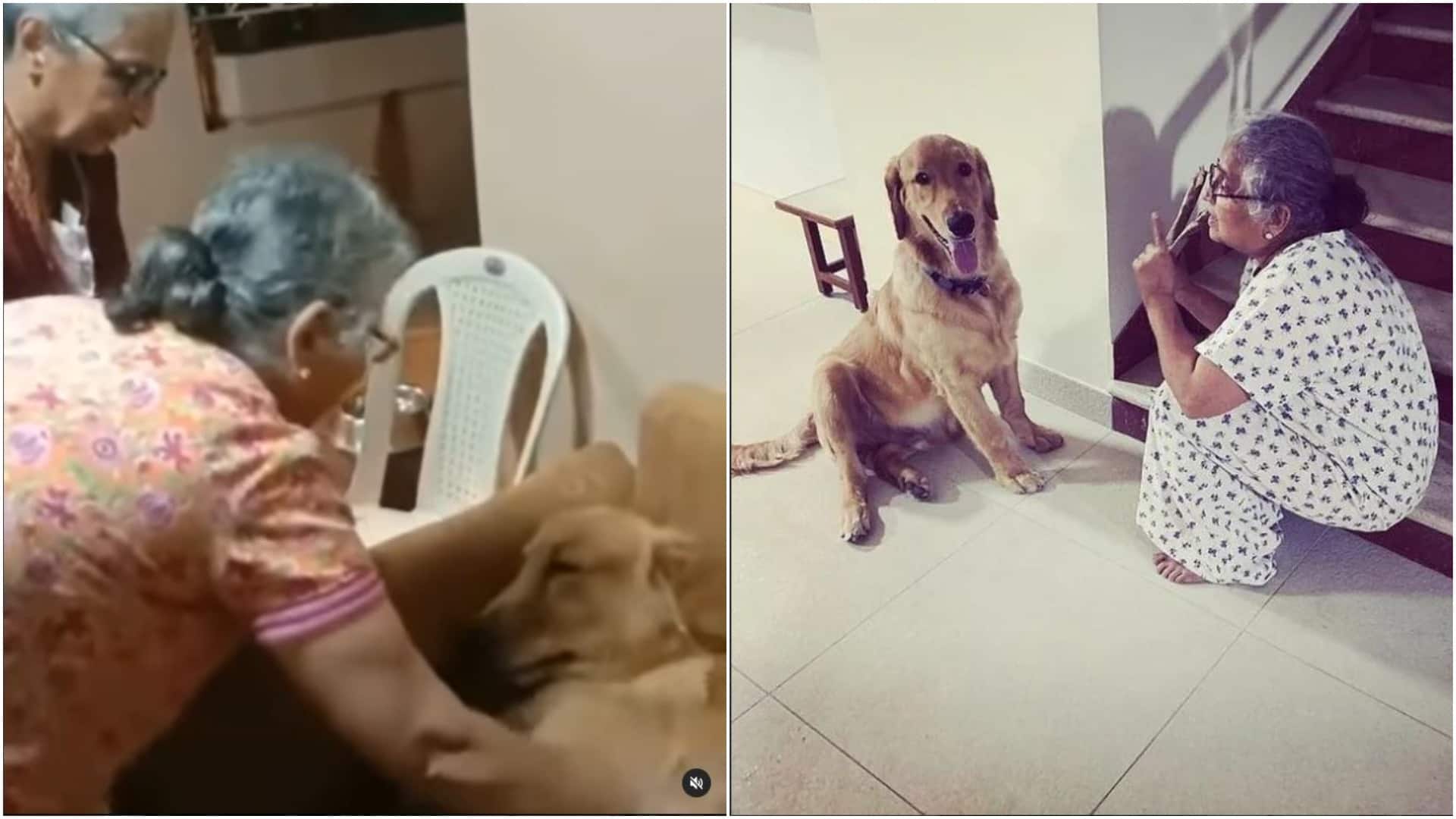 Watch: Sudha Murthy sings 'happy birthday' for pet dog Gopi
