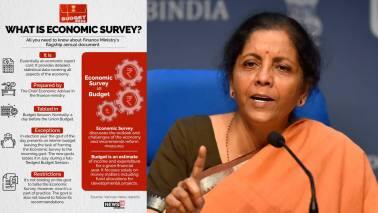 Economic Survey says all is well. So where’s the need for a fiscal stimulus?