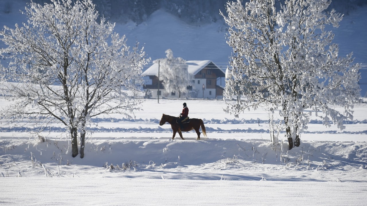 A man rides on a horse through the snow-covered landscape during sunny winter weather near Unteriberg, Switzerland. (Image: Reuters)