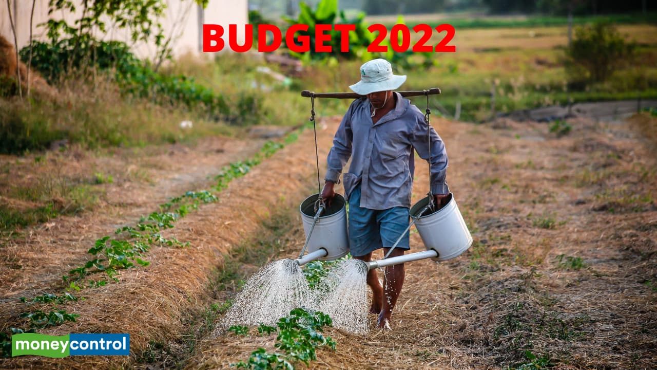 Budget 2021| Allocation for agriculture department flat at Rs 1,24,000 crore
