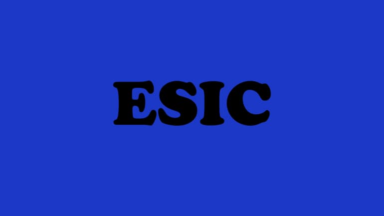 ESI-Inc.