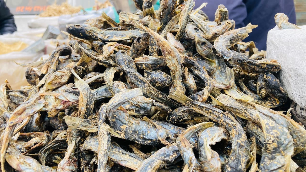 The fish for HokhGaed are dried under hygienic conditions during summers, by first placing them in a light cotton cloth and then drying them well in the sun. Consumed in winters, the dried fish is fried in mustard oil and tempered in a variety of condiments. (Photo by Irfan Amin Malik)