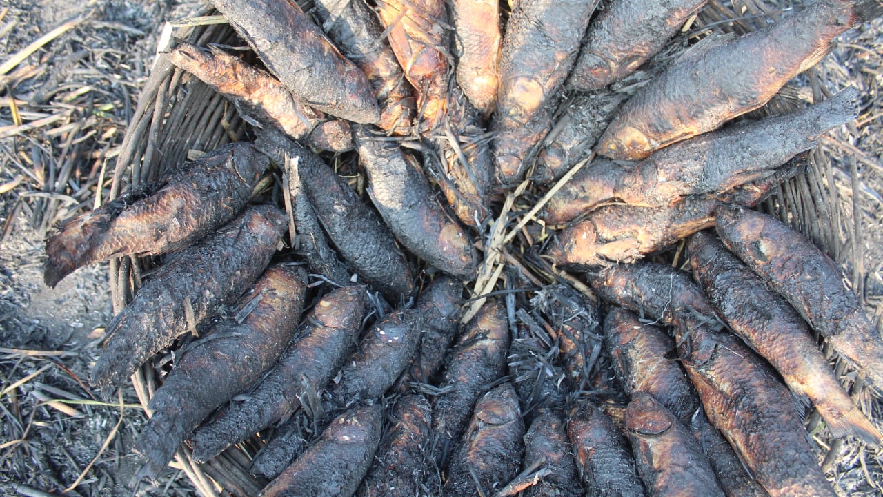 Smoked fish, locally known as Phari, is an age-old winter delicacy of Kashmir. The reddish-brown smoked fish is believed to provide resistance against diseases related to the cold. It is available only from the onset of autumn in the Valley. (Photo by Irfan Amin Malik)