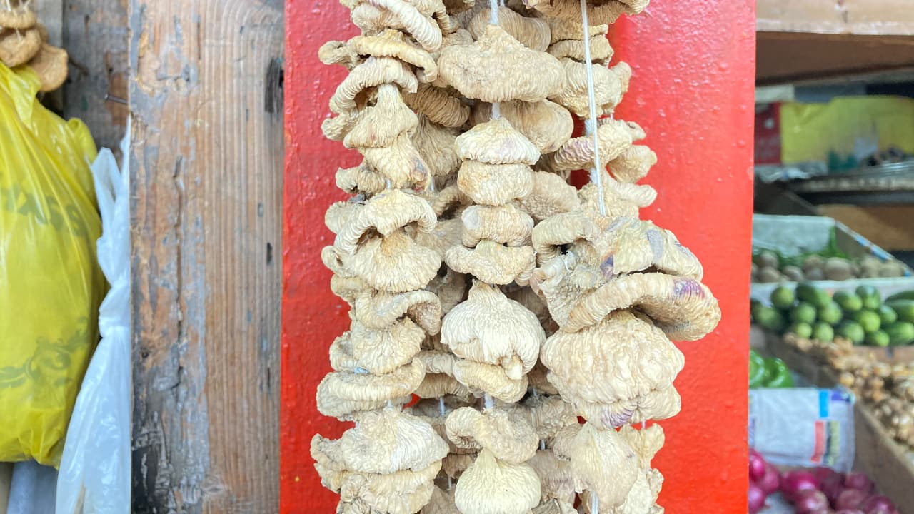 Gogji Aar or dried turnips are often cooked with cheese, eggs, mutton, etc. Turnips in this part of the world are dried in a very peculiar way: The turnips are peeled, washed and thickly sliced. Then a little hole is carved out in the middle of the slice using a pointed knife. All the slices are now strung up and sun-dried. (Photo by Irfan Amin Malik)