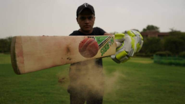 Cricket bat