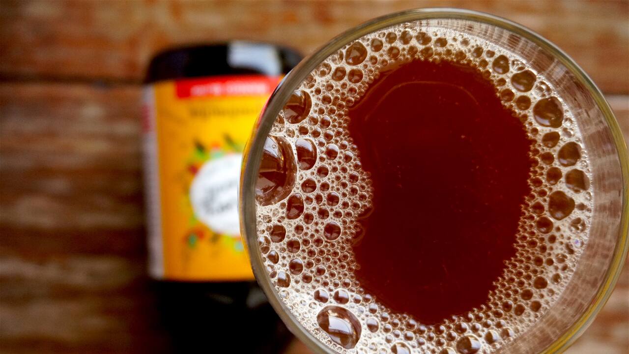 What's feeding the kombucha culture?
