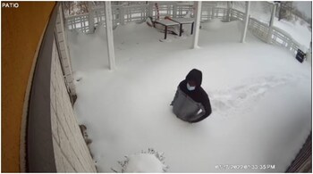 The man was seen on CCTV footage falling to his knees in disappointment after finding Nicey's Eatery, a Toronto restaurant closed. (Screengrab from video posted on Instagram by Nicey's Eatery)