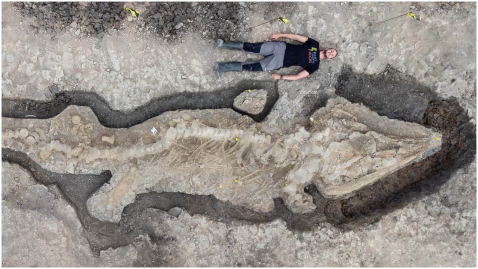 Giant 180 million-year-old 'sea dragon' fossil found in UK water reservoir
