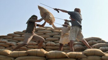 Discontinuation of free foodgrains scheme during pandemic era gives fiscal space for more generous cash support. (Representative Image)