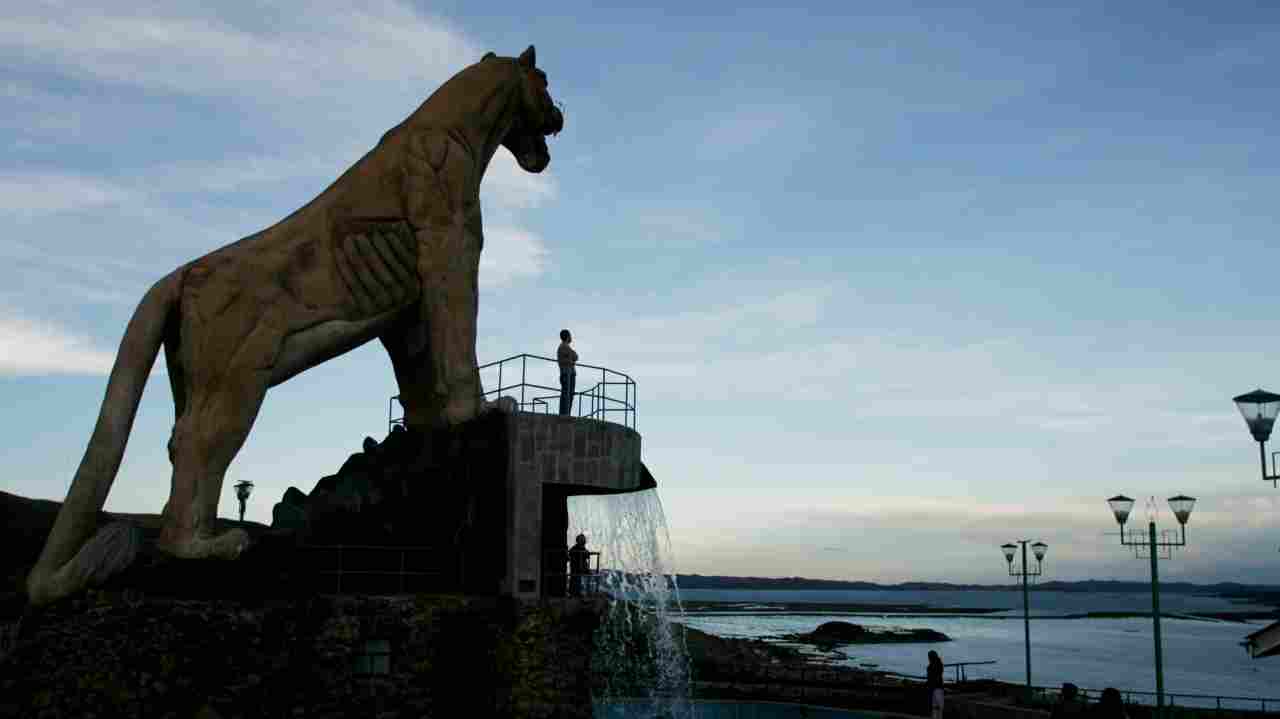 Those born during a Tiger Year are said to possess some of the qualities of the animal itself, including courageous, assertive and natural leaders. Tiger signs are said to be hungry for thrill and crave attention. They are also supposed to be short tempered but capable of generosity.