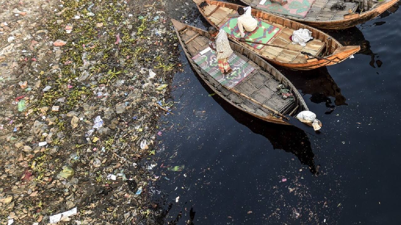 As a result, the team of researchers focused on what is known, and this partial information was enough to draw an alarming conclusion. &quot;Looking at changes over time and trends in production volumes lost in the environment ... and connecting that to the little bit we do know about impacts, we could say that every arrow is pointing in the wrong direction&quot;, Carney Almroth said. (Source: AFP)