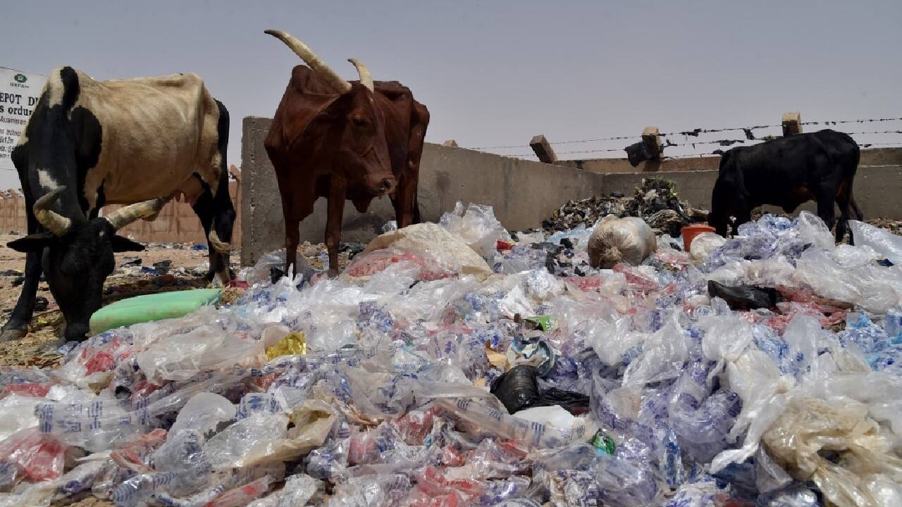 There is still &quot;time to revert this situation&quot; but it will take &quot;urgent and ambitious actions ... at an international level&quot;, she added. Furthermore, &quot;there's no silver bullet&quot;. &quot;No one answer is going to solve all of this, because a lot of these chemicals and materials are things that we use and that are necessary for our lives as of right now,&quot; she said. (Source: AFP)